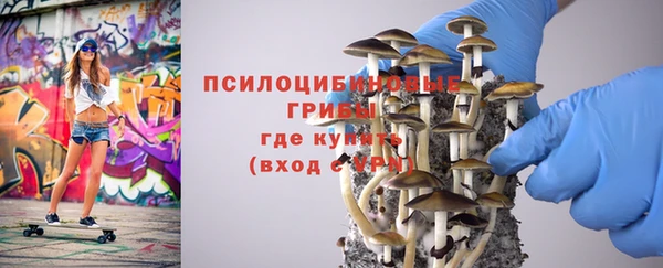 метадон Богородск