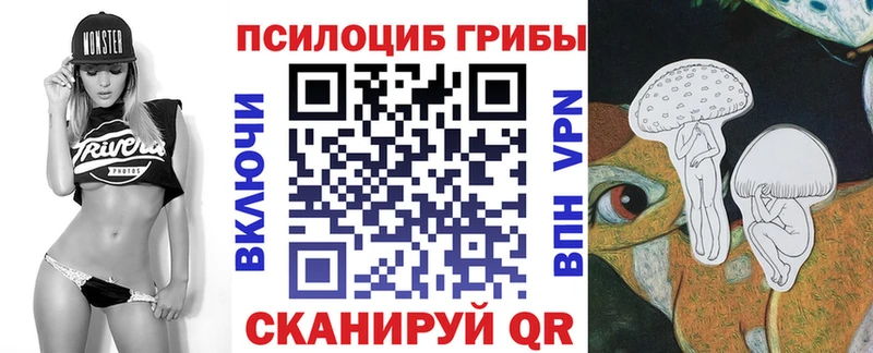 Псилоцибиновые грибы MAGIC MUSHROOMS  как найти   Новое Девяткино 